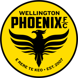 布里斯本狮吼女足